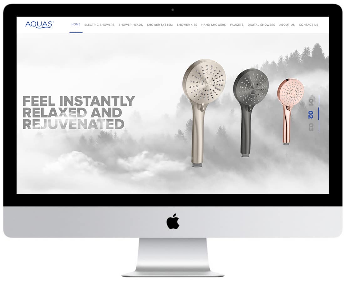 Aquas Website Design Ecommerce 3
