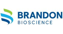 โลโก้แบรนดอน