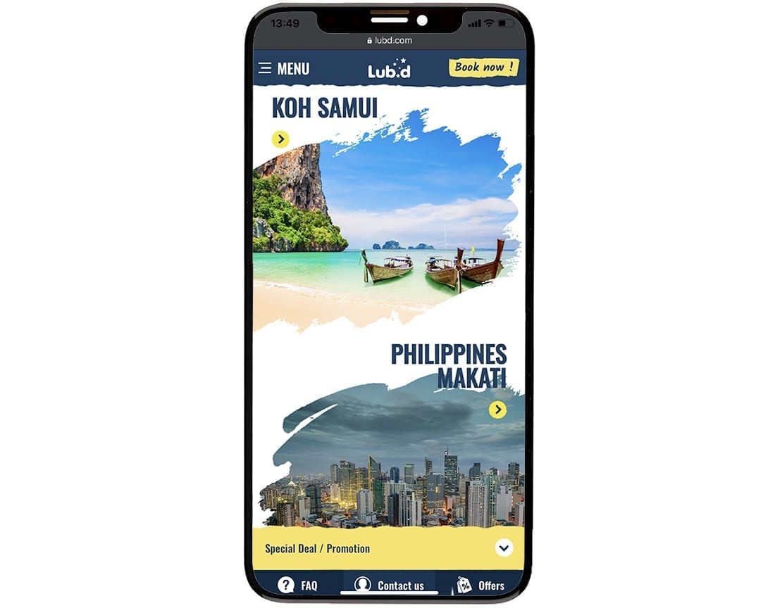 Lub D Développement de la conception de sites web mobiles 3