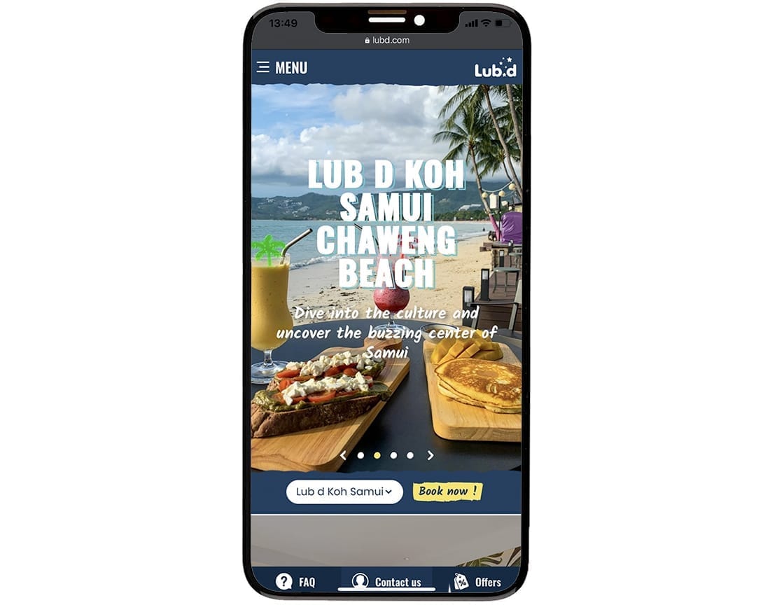 Lub D Développement de la conception de sites web mobiles 7
