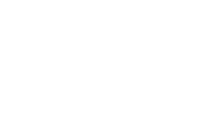 Pizza Company logo full white